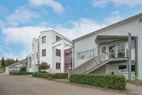 Stetten am kalten Markt / Frohnstetten Halle, Stetten am kalten Markt / Frohnstetten Hallenfläche