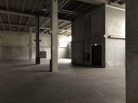 Darmstadt Halle, Darmstadt Hallenfläche