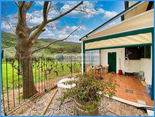 3266c732023c42e28d057de021778af9-original