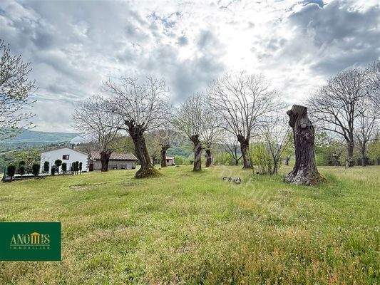 1 Hektar Kastanienwald