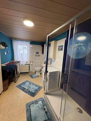 Badezimmer Hauptwohnung