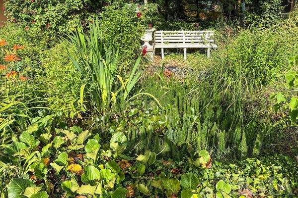 Gartenidylle mit kleinem Gartenteich