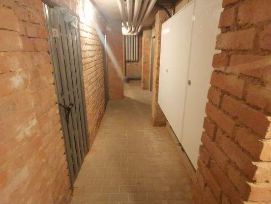 Aufgeräumter Kellerbereich