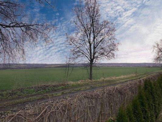 Feld hinterm Grundstück