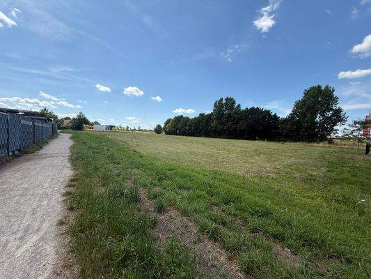 Blick auf Wohngebietszufahrt