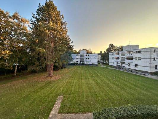 Blick aus dem Wohnzimmer