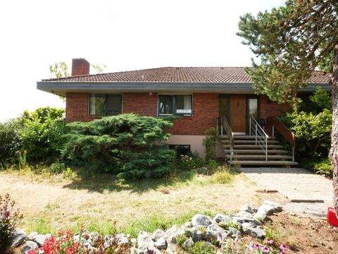 Wolfenbüttel Häuser, Wolfenbüttel Haus kaufen