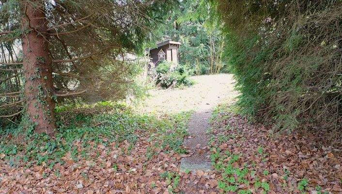 Weg zur grünen Oase