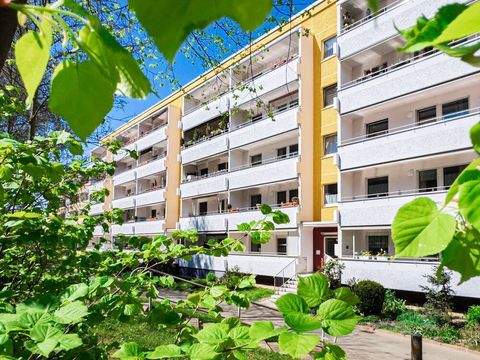 Zwickau Wohnungen, Zwickau Wohnung mieten