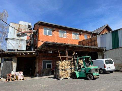 Rödental Halle, Rödental Hallenfläche