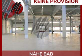 INFOS UNTER: 06171-586000