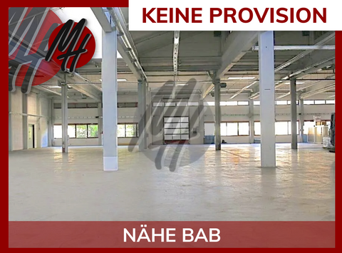 Offenbach am Main Halle, Offenbach am Main Hallenfläche