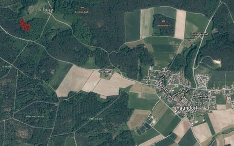 Haundorf Bauernhöfe, Landwirtschaft, Haundorf Forstwirtschaft