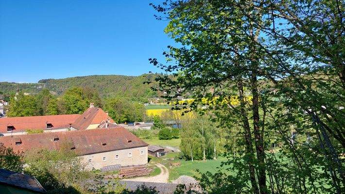 Herrlicher Blick ins Naabtal3.jpg