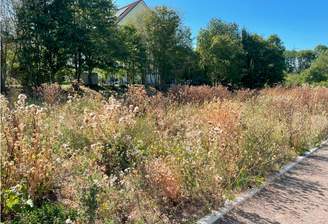 Fl152 RE - Vorschau Grundstück