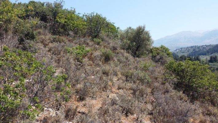 Kreta, Neo Chorio: Grundstück zu verkaufen