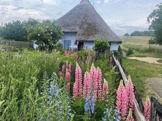 Pfarrwitwenhaus neu.jpg