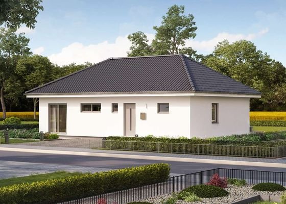 Bild-3