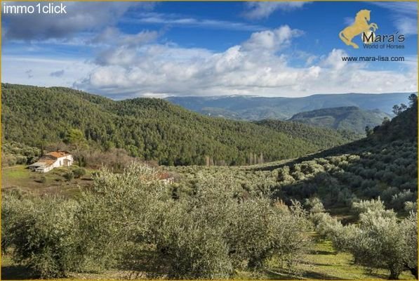 Finca mit Jagdgebiet, Cortijo, zu verkaufen, Provi