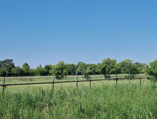 angrenzend an umliegende Naturlandschaft