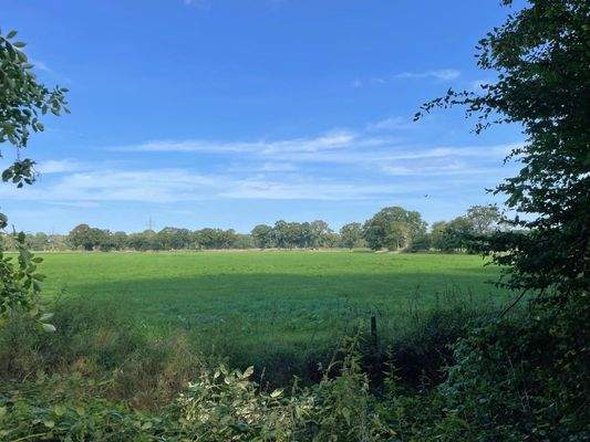 Blick in's Ammerland