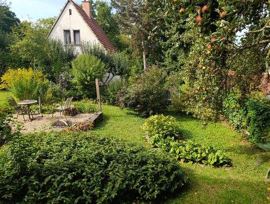 Blick in den Garten.jpg
