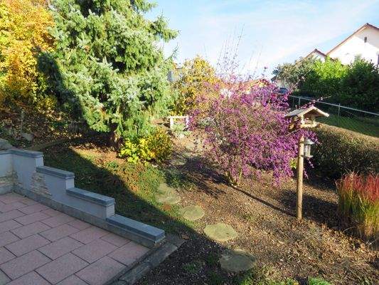 Bäume und Sträucher 