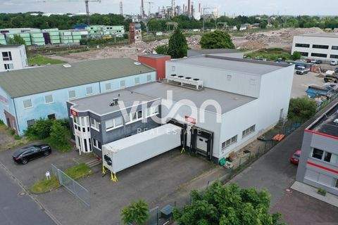 Wesseling Halle, Wesseling Hallenfläche