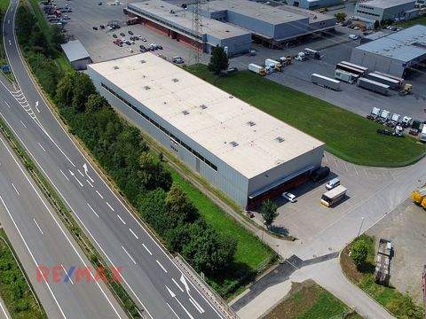 Rankweil Halle, Rankweil Hallenfläche