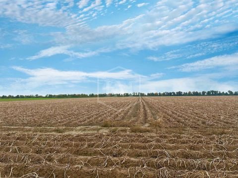 Jülich Bauernhöfe, Landwirtschaft, Jülich Forstwirtschaft