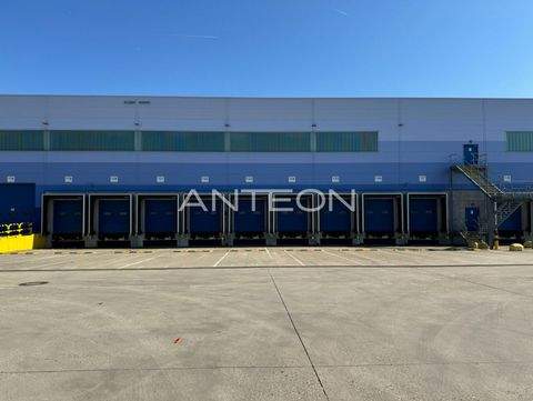 Dormagen Halle, Dormagen Hallenfläche