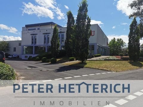 Schweinfurt Halle, Schweinfurt Hallenfläche