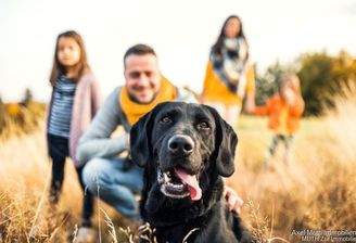 Ideales Grundstück für die Familie