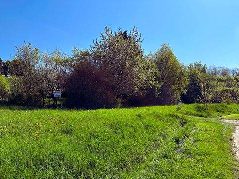 Jena Bauernhöfe, Landwirtschaft, Jena Forstwirtschaft