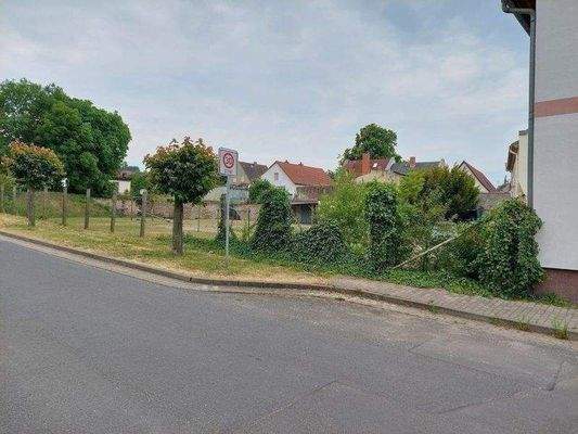 Grundstücksansicht von der Straße (1)