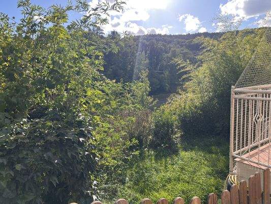 Blick in den Garten.jpg