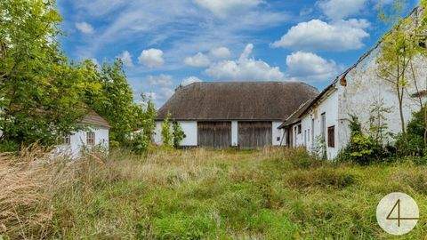 Horn Häuser, Horn Haus kaufen