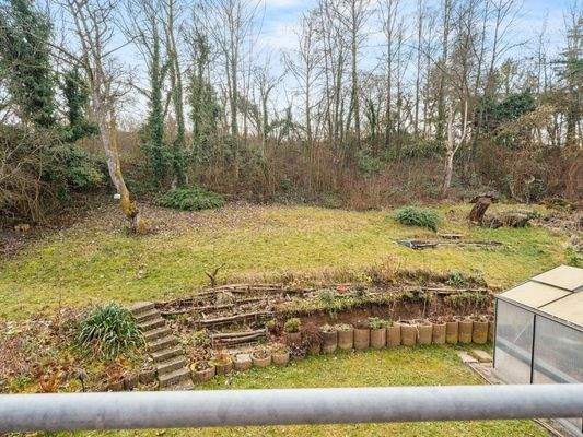 Blick nach Süden in den Garten