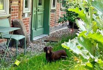 Idylle pur....auch der Dackel fühlt sich wohl