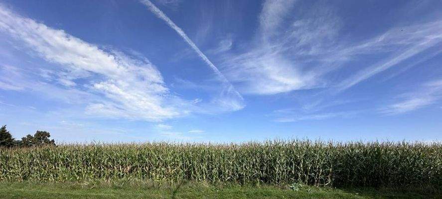 Blick auf´s gegenüberliegende Feld