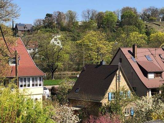 Aussicht Neckar.JPG