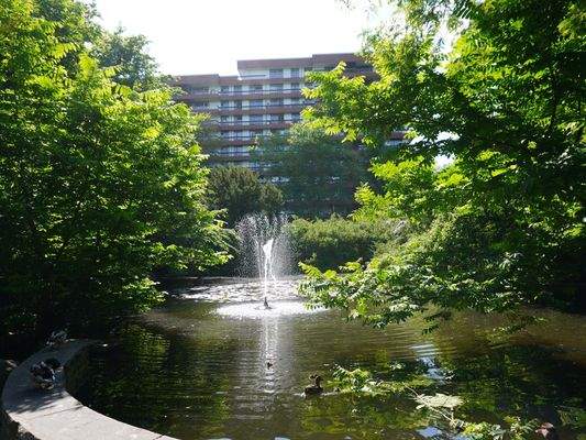 Parkanlage mit Teich