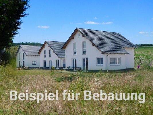 Beispiel_fuer_Bebauung