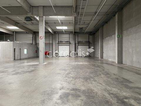 Düsseldorf Halle, Düsseldorf Hallenfläche