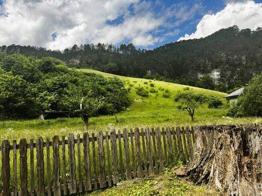 Grünschattierungen - beruhigend, ausgleichend und entspannend