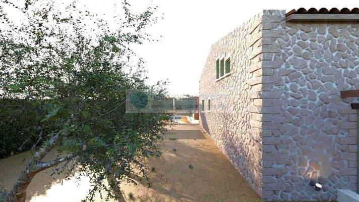 img_8466d92d-6baf-4d08-aa64-7bfdd9ee1b4d