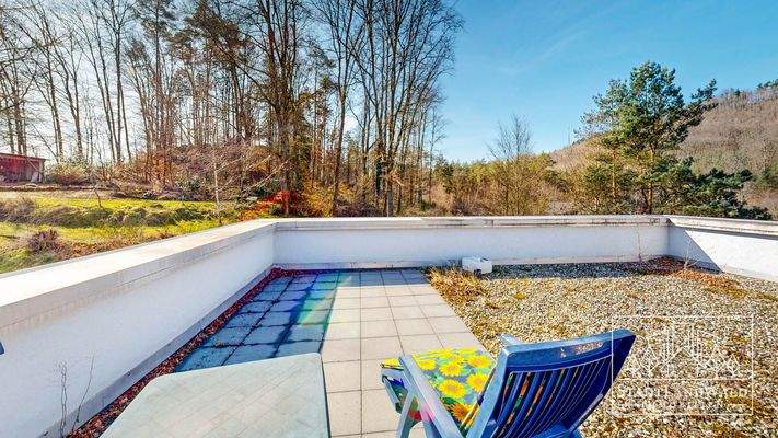 Dachterrasse mit Wald- und Dorfblick