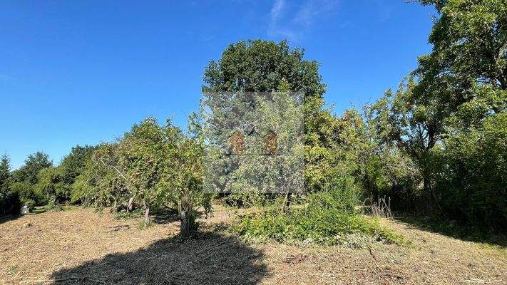 PHOTO-2025-08-25-10-36-54 5