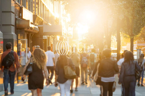 Köln Ladenlokale, Ladenflächen 