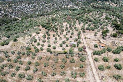 Astrida, Thassos Grundstücke, Astrida, Thassos Grundstück kaufen